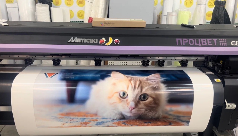 چه فایل‌هایی برای پرینت رنگی مناسب‌تر هستند